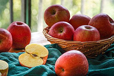 科幻机兵战略《钢铁指挥官》蒸汽平台现已上线，首周特惠开启